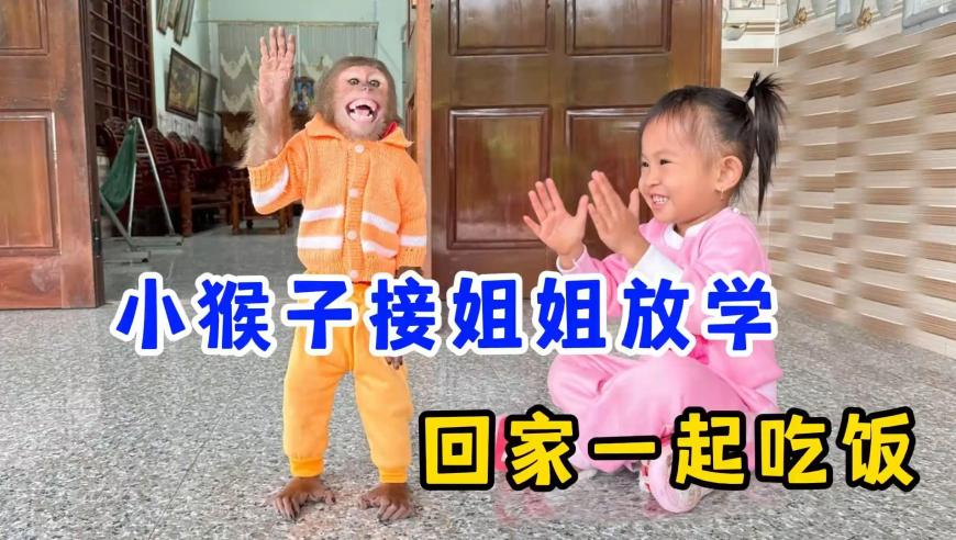 刘畊宏宣布与无忧传媒解约,新澳香港2025年一肖一码,全面解答解释落实_极速版V13.40