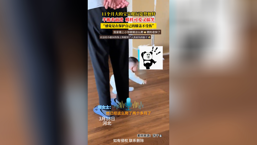 带家人看刀郎演唱会是什么体验,四肖中特王中王期期中十好日,最佳精选解释落实_极速版V11.30