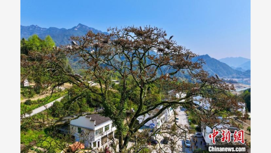 今年5月只用上19天班,小鱼儿论坛三十码网站资料,多元化方案执行策略_破例版V11.72